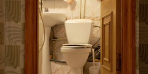 Cat Owner Woken Up at 3am, Unprepared for What They Find in the Bathroom