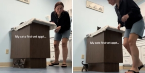 Woman Takes Kitten to First Vet Visit—Goes Exactly How You’d Expect