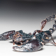 Scorpion Venom Could Help Treat Breast Cancer