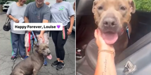 Shelter Dog Adopted After 640 Days—Takes ‘One Last Look Back’ Before Leaving
