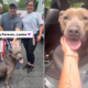 Shelter Dog Adopted After 640 Days—Takes ‘One Last Look Back’ Before Leaving
