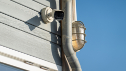 Horror at What Woman Points Directly at Neighbor’s Backdoor