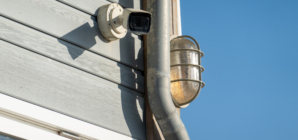 Horror at What Woman Points Directly at Neighbor’s Backdoor