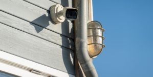 Horror at What Woman Points Directly at Neighbor’s Backdoor