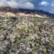 Southern California Warned of Risk for ‘Large Life-Threatening Wildfires’