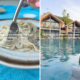 Woman Films ‘Cute’ Vacation Video for Mom—Then Spots What’s in the Water