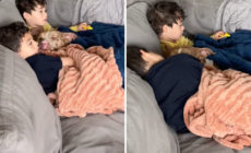 Foster Fail Rescued From Streets Finds Safe Space Between His ‘Tiny Humans’