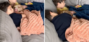 Foster Fail Rescued From Streets Finds Safe Space Between His ‘Tiny Humans’