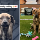Puppy Dumped Outside Woman’s Home, Hearts Break as She’s ‘Literally Smiling’