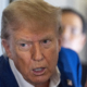 Trump Jr Says Obama Getting Nobel Prize Over Father Is ‘Affirmative Action’