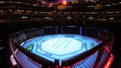 How to Watch UFC 316 Prelims: Live Stream Merab Dvalishvili vs Sean O’Malley 2 Undercard