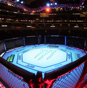 How to Watch UFC 316 Prelims: Live Stream Merab Dvalishvili vs Sean O’Malley 2 Undercard