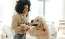 What Owning a Dog Says About You, According to a Psychotherapist