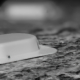 Hysterics at Ants’ Reaction To Poison Trap Set for Them: ‘Mocking You’