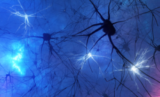 Parkinson’s Disease: “Brake” May Halt Cell Death in Some Patients