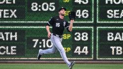 Yankees Reportedly Acquire Outfielder From White Sox Before Trade Deadline