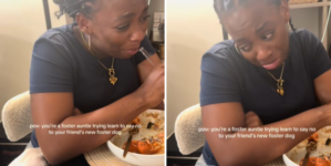 Laughter As Foster Dog Identifies ‘Weak Link’ in Quest To Get Table Scraps