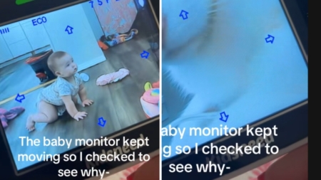Mom Checks Baby Cam and Sees It Keeps Moving—Then Discovers the Reason
