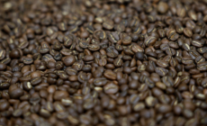 Warning Issued Over Coffee Prices
