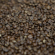 Warning Issued Over Coffee Prices