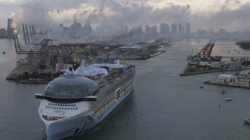 Royal Caribbean Crew Member Stabs Colleague, Jumps Overboard: Police