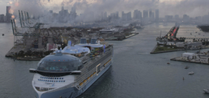 Royal Caribbean Crew Member Stabs Colleague, Jumps Overboard: Police