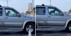 Dog Waiting in Car Honks to Hurry Owner out of Café—Wins ‘Pet of the Week’