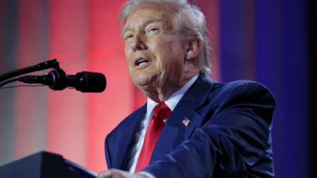 Full List of MAGA Influencers at Odds With Trump Admin Over Epstein Files