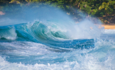 Hundreds of Thousands Warned of ‘Dangerous’ 14-Foot Waves