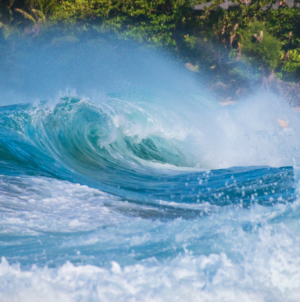 Hundreds of Thousands Warned of ‘Dangerous’ 14-Foot Waves