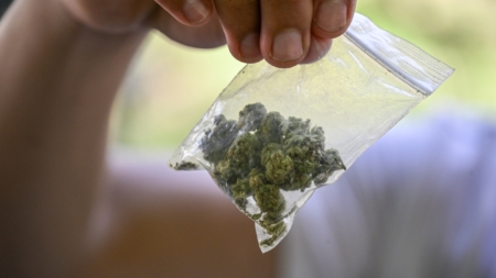Marijuana Could Break Your Heart—Literally | Opinion