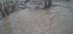 New Mexico Flash Flooding: House Seen Swept Away in Roaring Waters