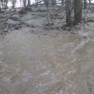 New Mexico Flash Flooding: House Seen Swept Away in Roaring Waters