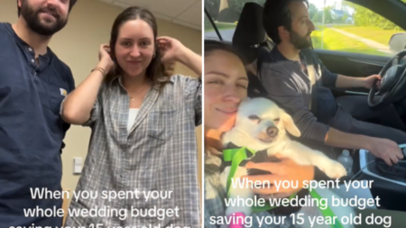 Couple Save for Wedding Then Senior Dog Got Sick—They Had To Make A Choice