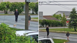 Cat Follows Kids to School—What the Principal Does Next Is Perfect