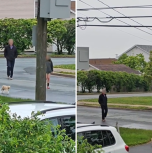 Cat Follows Kids to School—What the Principal Does Next Is Perfect