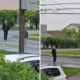 Cat Follows Kids to School—What the Principal Does Next Is Perfect