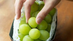 Popular Fruit is Overlooked Superfood, Researcher Claims