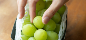 Popular Fruit is Overlooked Superfood, Researcher Claims