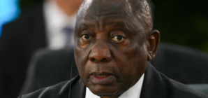 South Africa Reacts to Trump Tariffs News