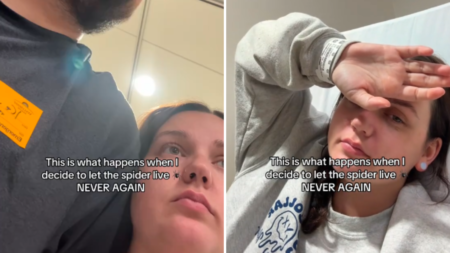 Woman Decides To Let Spider Live, Has Instant Regret: ‘Never Again’