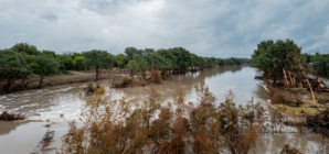 FEMA Fraud Scam Warning Issued After Texas Floods—What To Know