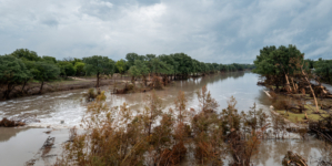 FEMA Fraud Scam Warning Issued After Texas Floods—What To Know