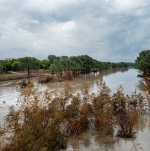 FEMA Fraud Scam Warning Issued After Texas Floods—What To Know