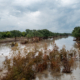 FEMA Fraud Scam Warning Issued After Texas Floods—What To Know