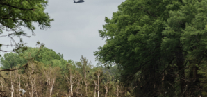 Texas Flooding: Drone, Helicopter Collide Amid Search and Rescue, City Says