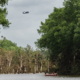 Texas Flooding: Drone, Helicopter Collide Amid Search and Rescue, City Says