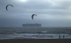 Tsunami Live Tracker as 10 Foot Waves Could Hit Hawaii