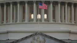 DOGE AI Tool to Target 100K Federal Rules for Elimination: Report