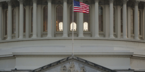 DOGE AI Tool to Target 100K Federal Rules for Elimination: Report
